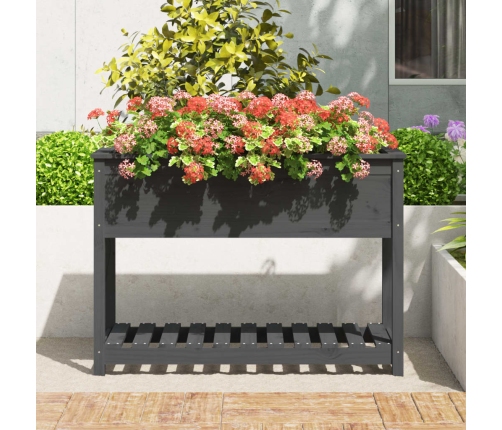 vidaXL puķu kaste ar plauktu, pelēka, 111,5x54x81cm, priedes masīvkoks