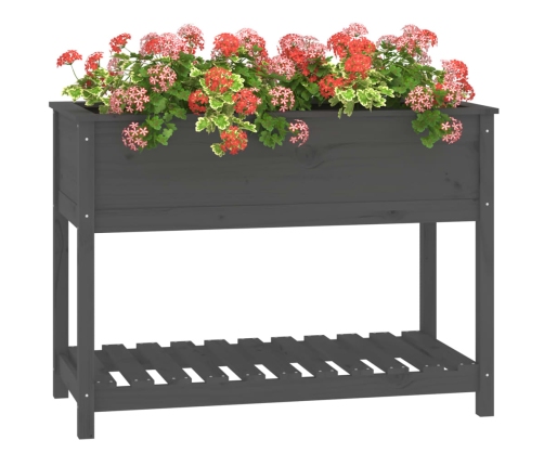 vidaXL puķu kaste ar plauktu, pelēka, 111,5x54x81cm, priedes masīvkoks