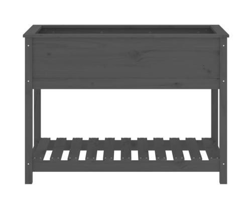 vidaXL puķu kaste ar plauktu, pelēka, 111,5x54x81cm, priedes masīvkoks