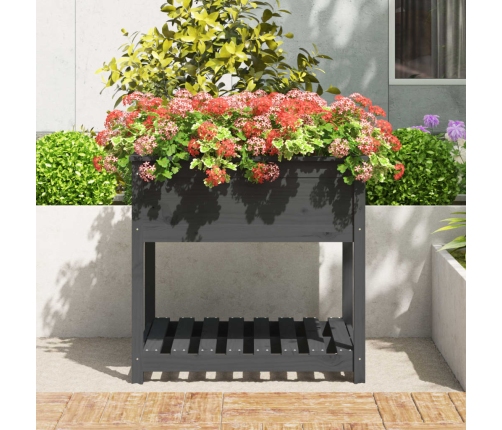 vidaXL puķu kaste ar plauktu, pelēka, 82,5x82,5x81, priedes masīvkoks