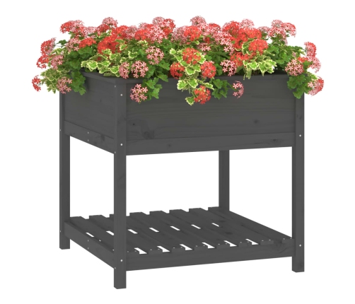 vidaXL puķu kaste ar plauktu, pelēka, 82,5x82,5x81, priedes masīvkoks