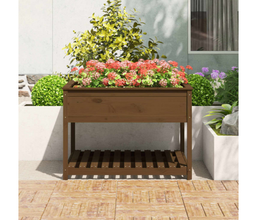 vidaXL puķu kaste ar plauktu, medus brūna, 111,5x111,5x81 cm, priede