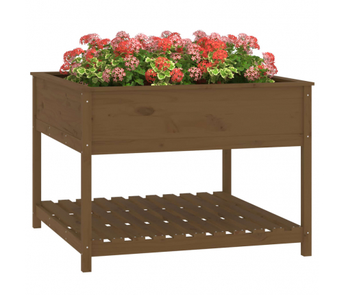 vidaXL puķu kaste ar plauktu, medus brūna, 111,5x111,5x81 cm, priede