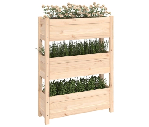 vidaXL puķu kaste, 77x25x104,5 cm, priedes masīvkoks