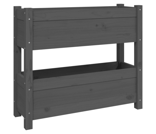 vidaXL puķu kaste, pelēka, 77x25x66 cm, priedes masīvkoks