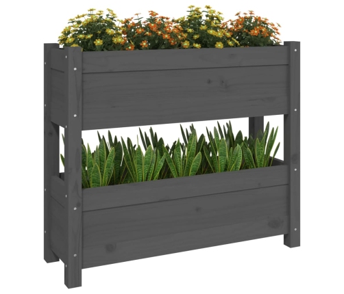 vidaXL puķu kaste, pelēka, 77x25x66 cm, priedes masīvkoks