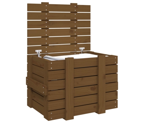 vidaXL uzglabāšanas kaste, brūna, 58x40,5x42 cm, priedes masīvkoks