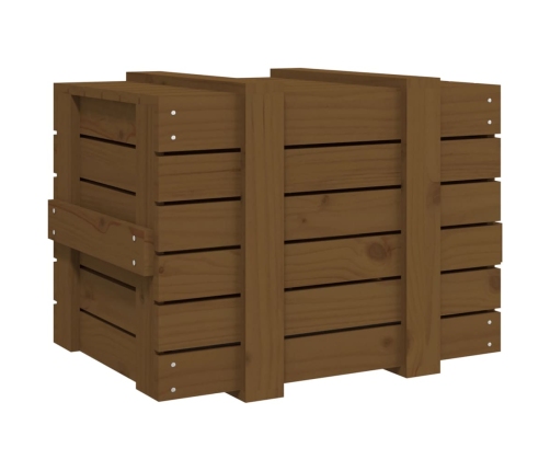 vidaXL uzglabāšanas kaste, brūna, 58x40,5x42 cm, priedes masīvkoks