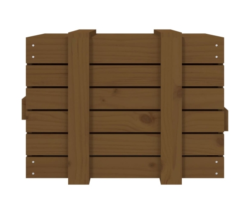 vidaXL uzglabāšanas kaste, brūna, 58x40,5x42 cm, priedes masīvkoks