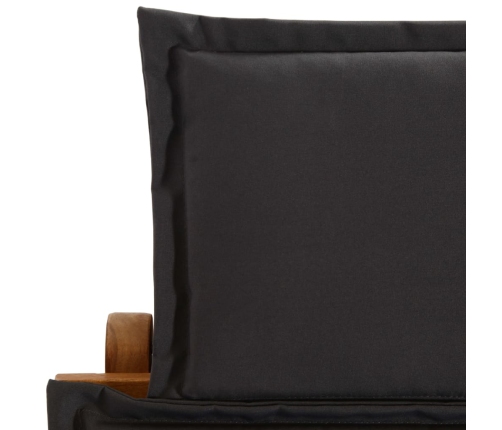 vidaXL sauļošanās zviļņi ar spilveniem, 2 gab., akācijas masīvkoks