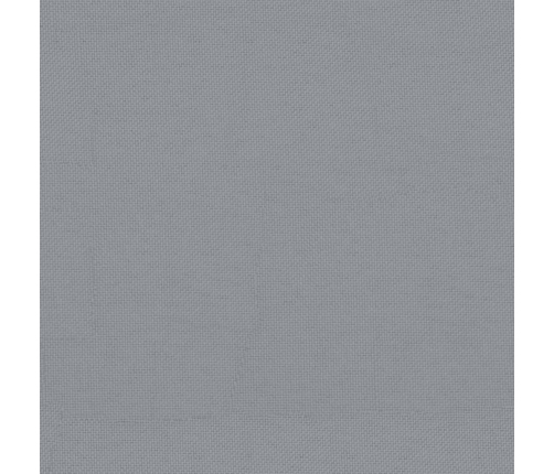 vidaXL dārza soliņi ar matračiem, 2 gab., Duglasa egles masīvkoks