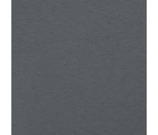 vidaXL vidējais dīvāns, 120x80 cm, priedes masīvkoks, balts