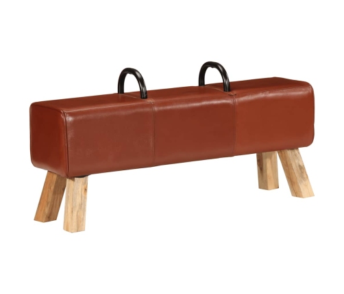 vidaXL vingrošanas buks, 110 cm, brūna dabīgā āda