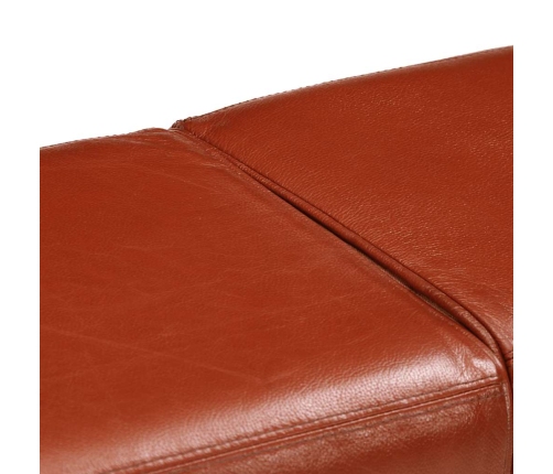 vidaXL vingrošanas buks, 160 cm, brūna dabīgā āda