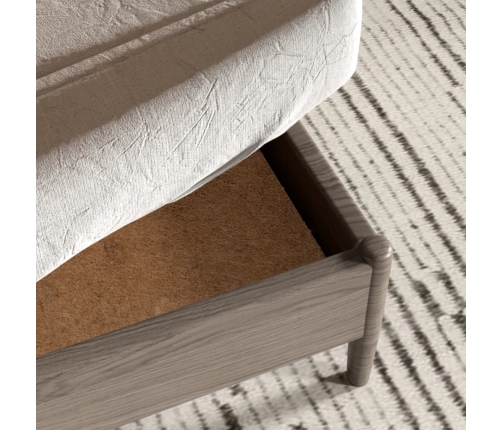 vidaXL matrača paliktnis, 100x200 cm, kokosa šķiedra