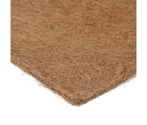 vidaXL matrača paliktnis, 100x200 cm, kokosa šķiedra