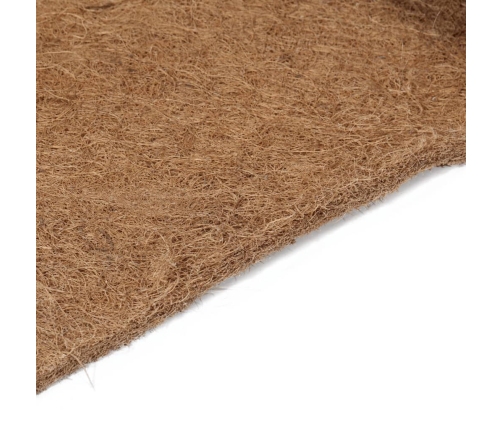 vidaXL matrača paliktnis, 100x200 cm, kokosa šķiedra