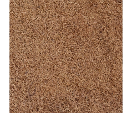 vidaXL matrača paliktnis, 100x200 cm, kokosa šķiedra