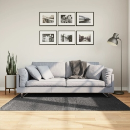 Paklājs Iza, Īsa Spalva, Skandināvu Stils, Pelēks, 120X170 Cm Vidaxl