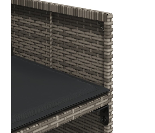 11-Daļīgs Dārza Mēbeļu Komplekts Ar Matračiem, Pe Rotangpalma Vidaxl