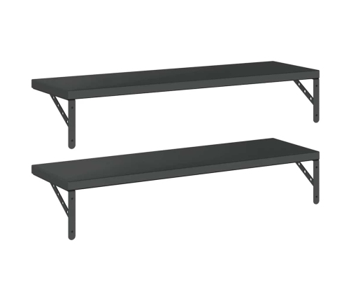 Sienas Plaukti, 2 Gab., 100X30 Cm, Nerūsējošs Tērauds, Melna Vidaxl