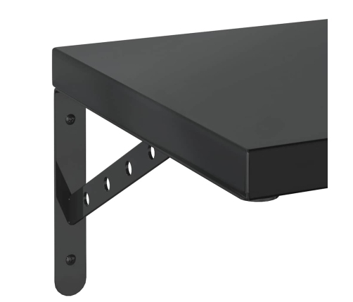 Sienas Plaukti, 2 Gab., 100X30 Cm, Nerūsējošs Tērauds, Melna Vidaxl