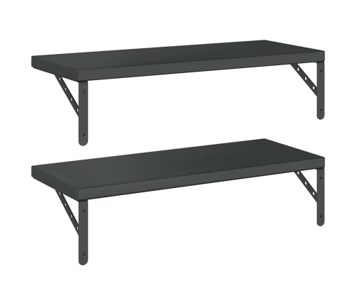 Sienas Plaukti, 2 Gab., 75X30 Cm, Nerūsējošs Tērauds, Melna Vidaxl