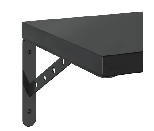 Sienas Plaukti, 2 Gab., 75X30 Cm, Nerūsējošs Tērauds, Melna Vidaxl