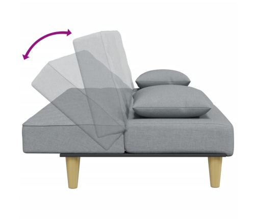 vidaXL 2-vietīga dīvāngulta ar spilveniem un kāju balstu, gaiši pelēks