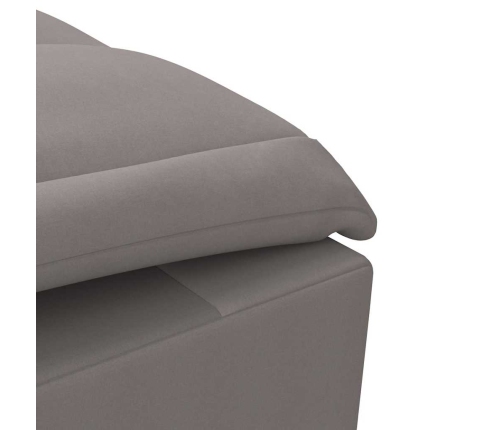 Zvilnis Ar Cilindra Formas Spilvenu, Pelēkbrūns, Audums Vidaxl