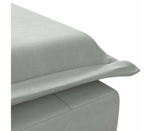 vidaXL zvilnis ar cilindra formas spilvenu, gaiši pelēks, samts