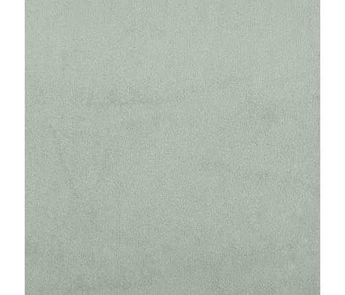 vidaXL zvilnis ar cilindra formas spilvenu, gaiši pelēks, samts