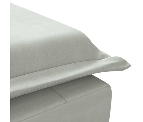 vidaXL zvilnis ar cilindra formas spilvenu, gaiši pelēks, samts