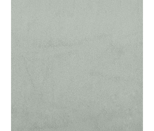 vidaXL zvilnis ar cilindra formas spilvenu, gaiši pelēks, samts