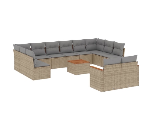 13-Daļīgs Dārza Dīvāna Komplekts Ar Matračiem,Pe Rotangpalma Vidaxl