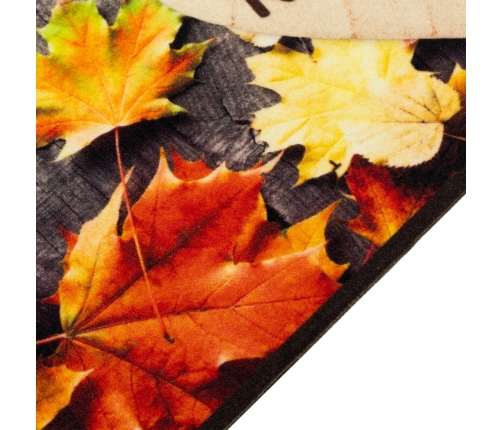 vidaXL virtuves paklājs, mazgājams, rudens apdruka, 60x180 cm, samts