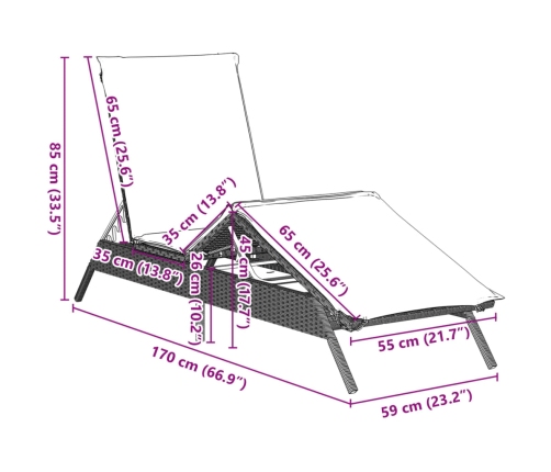 vidaXL sauļošanās zviļņi 2gab ar matračiem gaiši pelēka PE rotangpalma