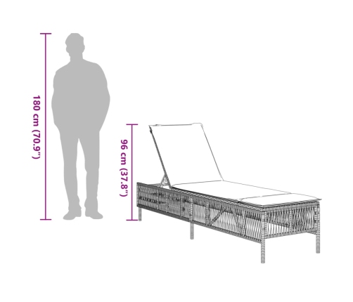 vidaXL sauļošanās zviļņi ar matračiem 2gab gaiši pelēka PE rotangpalma