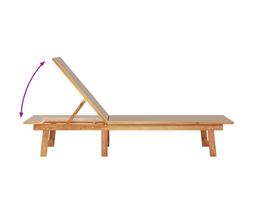 vidaXL sauļošanās zviļņi, 2 gb., pelēkbrūni, akācijas koks, tekstilēns