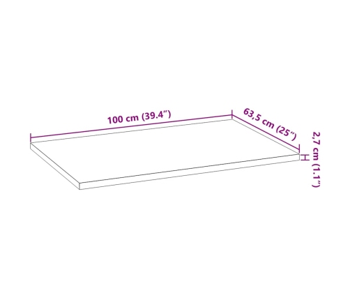 Virtuves Darba Virsma 100X63,5X2,7Cm Ozola Masīvkoks Taisnstūra Vidaxl