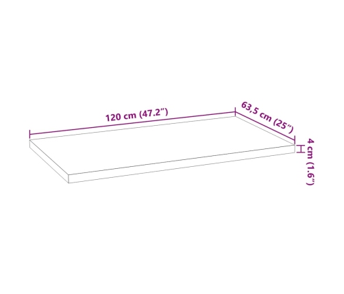 Virtuves Darba Virsma 120X63,5X4 Cm Ozola Masīvkoks Taisnstūra Vidaxl