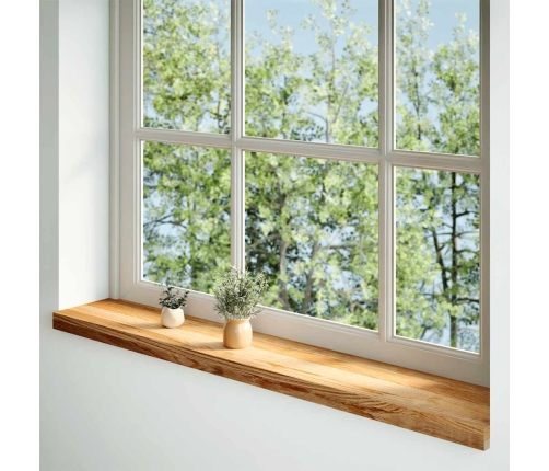 vidaXL palodzes 2 gb., gaiši brūns, 160x20x2 cm, ozola masīvkoks