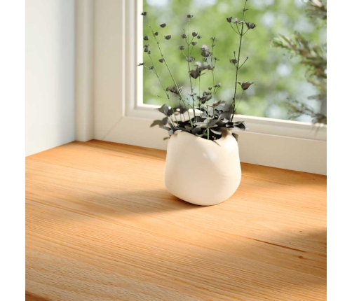 vidaXL palodzes 2 gb., gaiši brūns, 160x20x2 cm, ozola masīvkoks