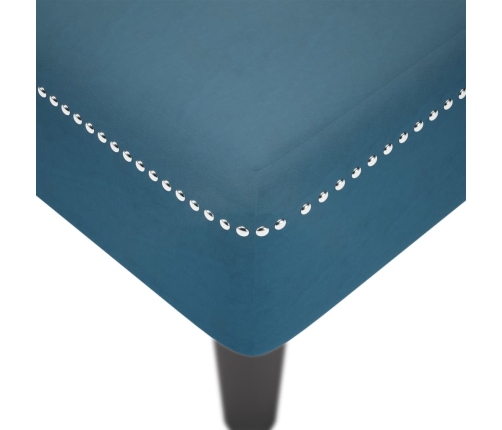 Zvilnis Ar Spilveniem Un Labo Roku Balstu, Zils Samts Vidaxl