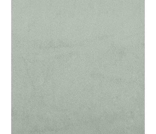 vidaXL zvilnis ar polsteris un labo roku balstu, gaiši pelēks samts