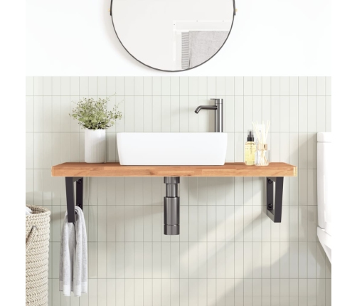 vidaXL izlietnes plaukts, stiprināms pie sienas, tērauds, dižskābardis