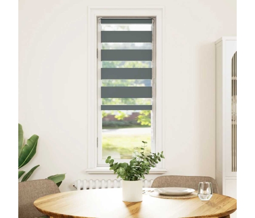 Zebra Žalūzija Tumši Pelēka 40X100 Cm Auduma Platums Vidaxl