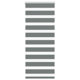 Žalūzijas Zebra 60X100 Cm Auduma Platums 55,9 Cm Poliesters Vidaxl