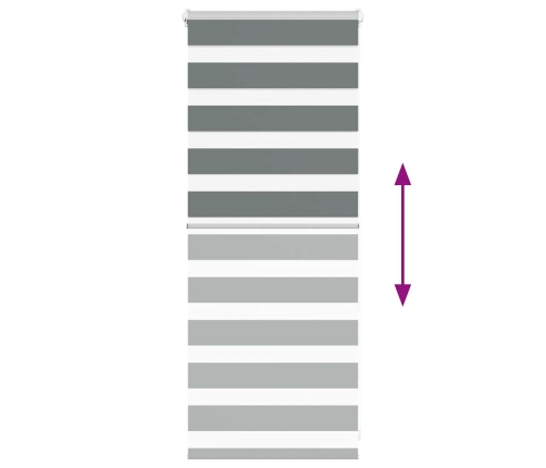 Žalūzijas Zebra 65X100 Cm Auduma Platums 60,9 Cm Poliesters Vidaxl