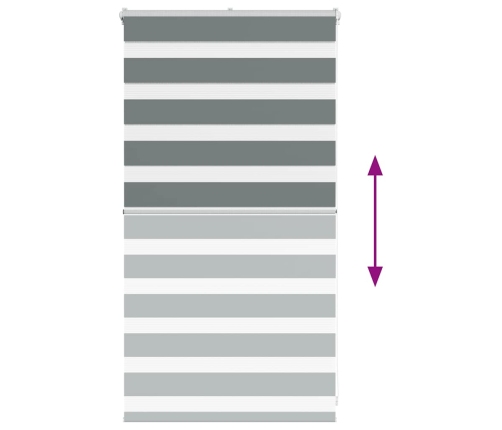 Žalūzijas Zebra 80X100 Cm Auduma Platums 75,9 Cm Poliesters Vidaxl